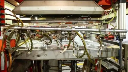 Bandeja blister para embalagem de brinquedos foscos para animais de estimação pretos personalizados com tampa transparente