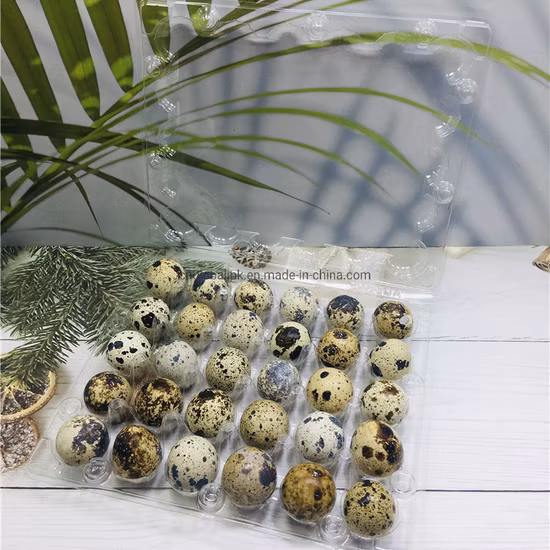 Bandeja de empacotamento plástica do ovo de codorniz do animal de estimação 20holes da bolha transparente